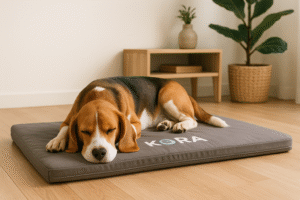 a dog lying on a rug