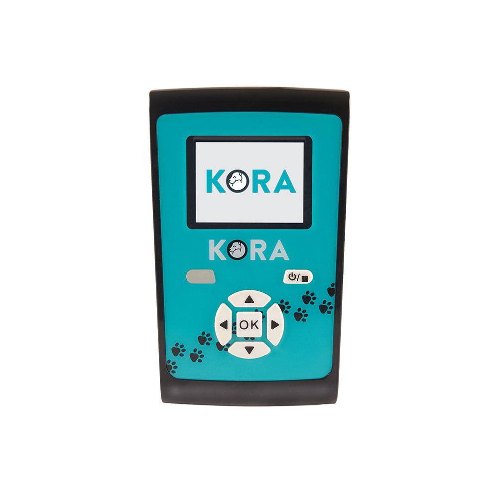 a blue and black device with a screen