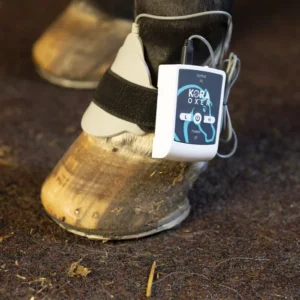 a device attached to a horse's hoof