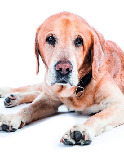 AdobeStock_198306793