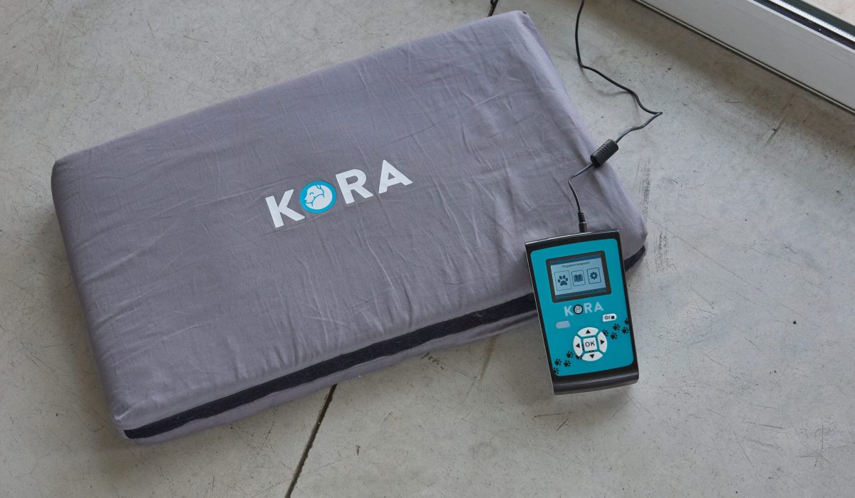 Spherica_kora19998